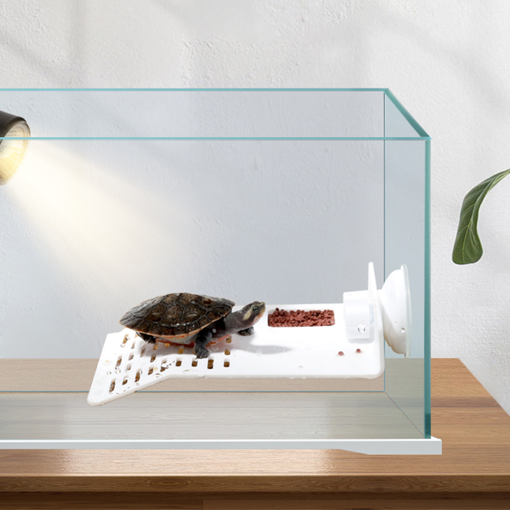 Lớn Trong Suốt Rùa nền Sưởi Bể Cá Aquarium Nền Tảng Rùa Nghỉ ngơi hút mạnh Nền Tảng Với 2 giác hút