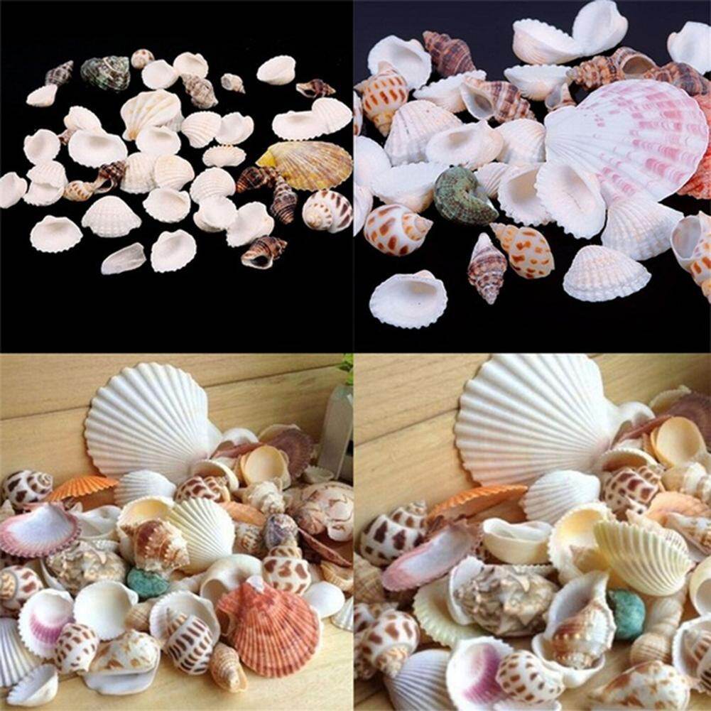 Xavierb 100g Mixed Shape Seashell Conch Aquarium Mini Landscape Ornament DIY Craft Decor