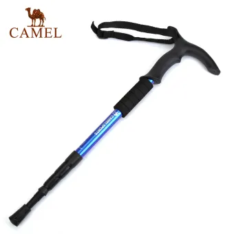 extendable hiking stick