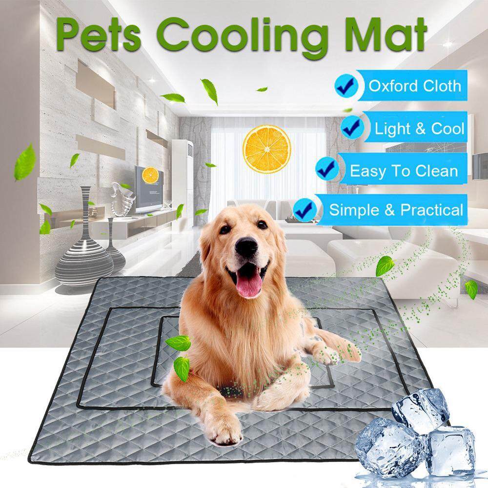 cool summer dog beds