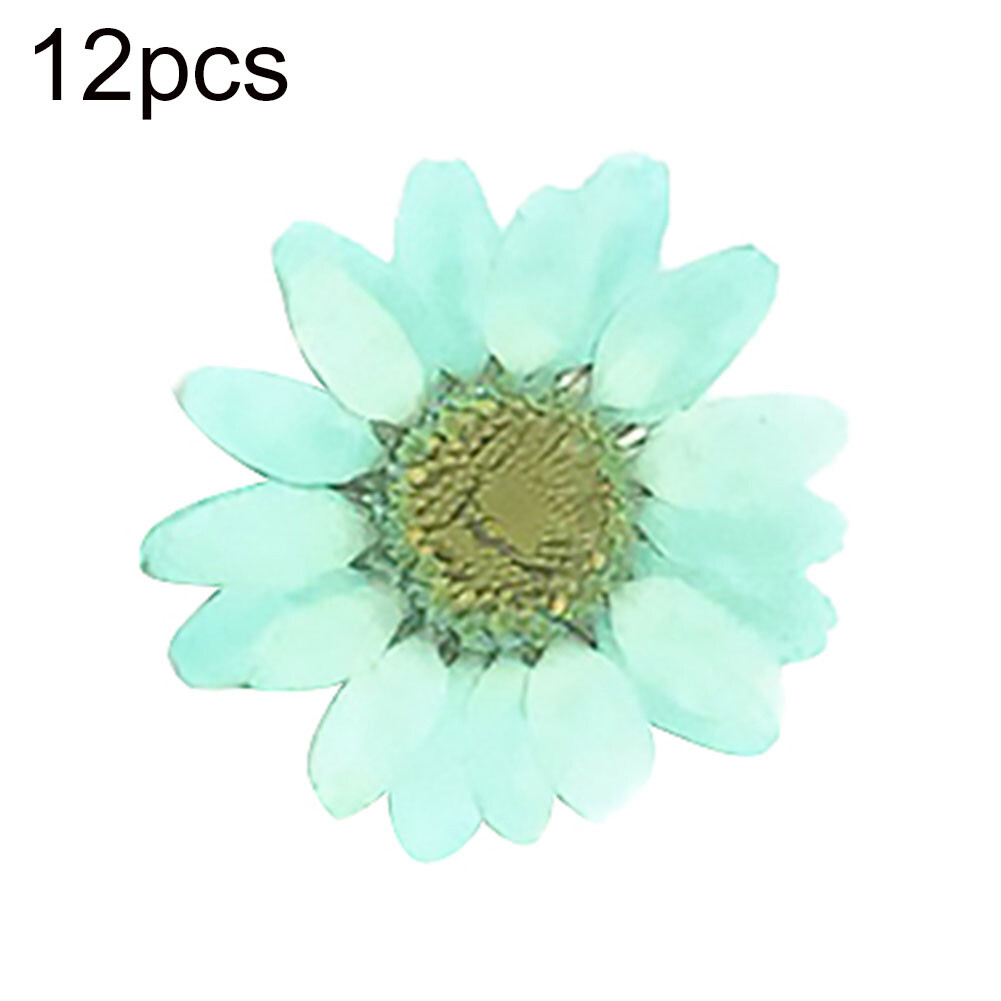 POCO 12Pcs Pressed Dried Natural Flower Epoxy Resin Nail Craft DIY Phone Decoration