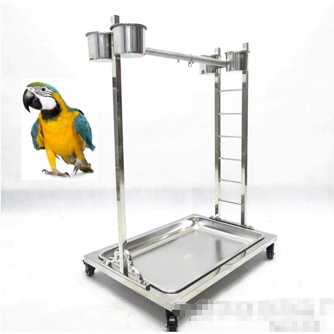 Macaw stand best sale