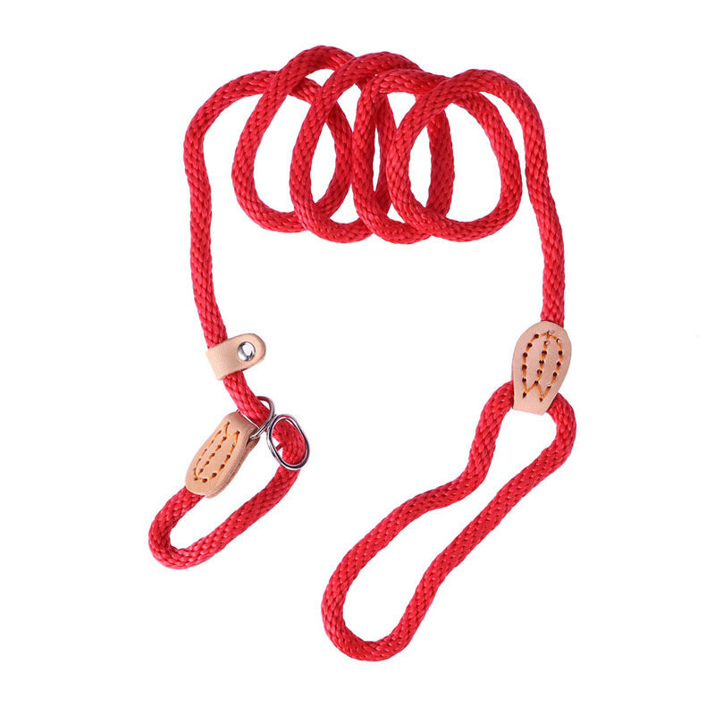Dây Huấn Luyện Chó Bằng Nylon Trượt Dây Dẫn Cổ Áo Cho Huấn Luyện Thú Cưng (Màu Đỏ)