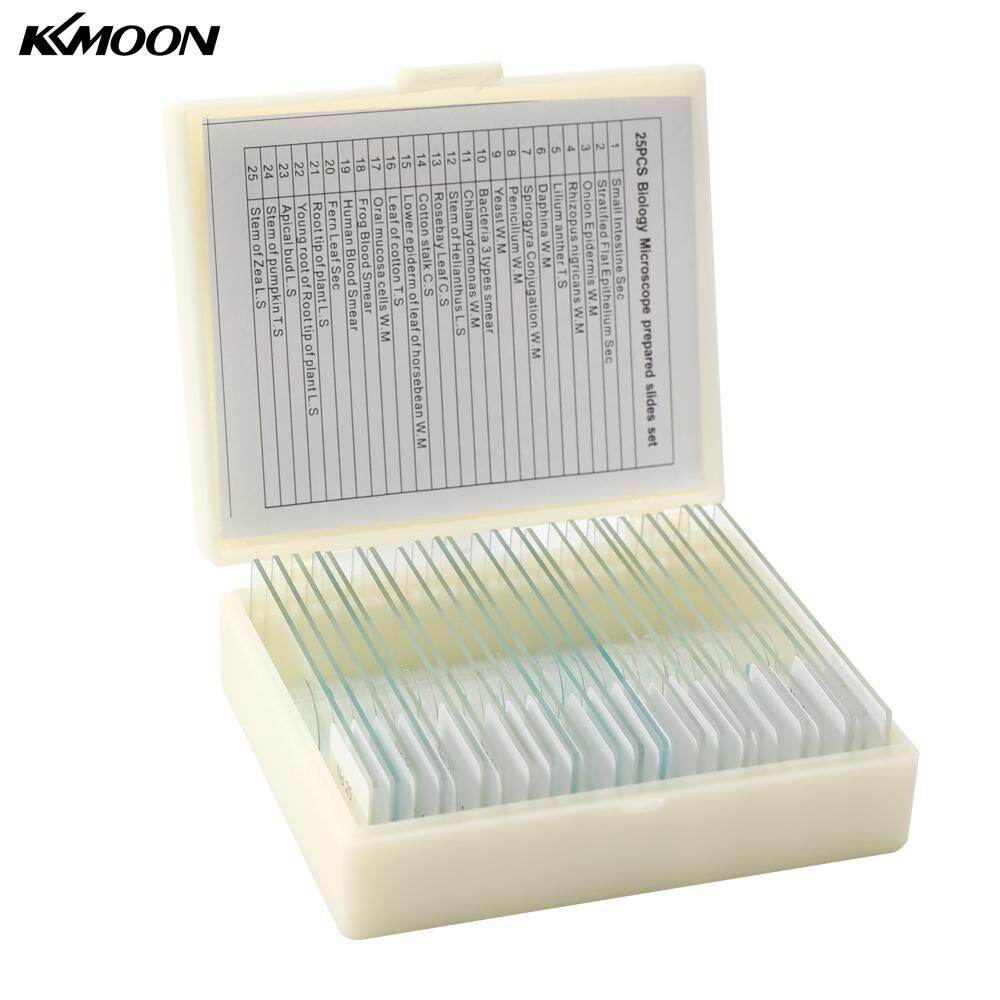 25PCS/Set Biological Glass Sample Prepared Basic Animal Plants Insects Tissues Science Specimen Cover Slips Portable Educational Microscope Slides