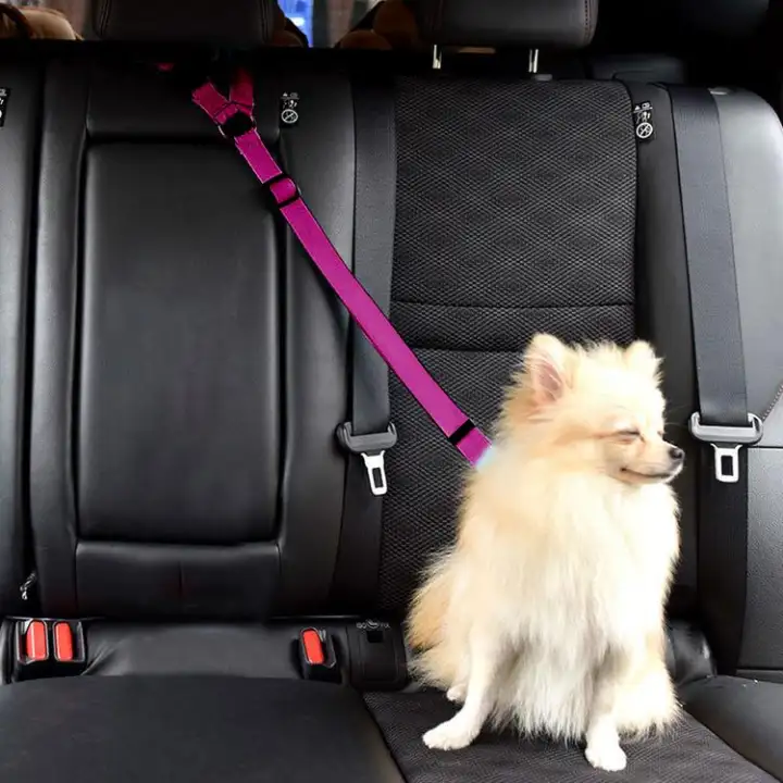 car seat belt for dogs