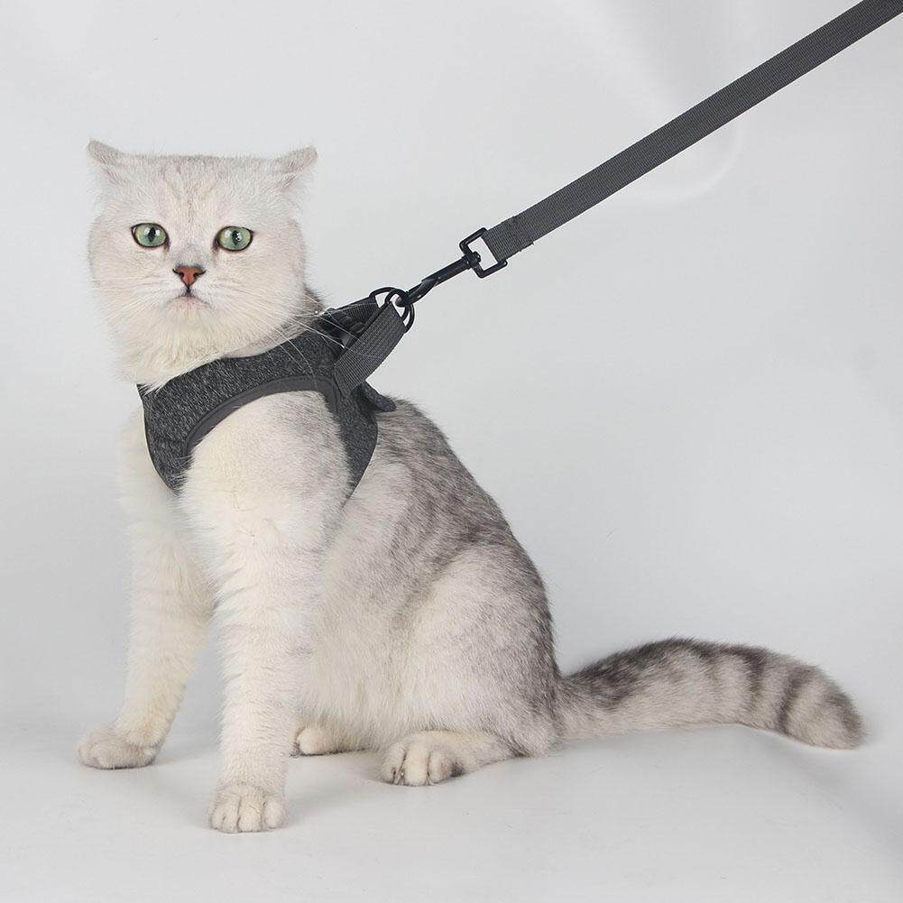 leather cat harness and leash