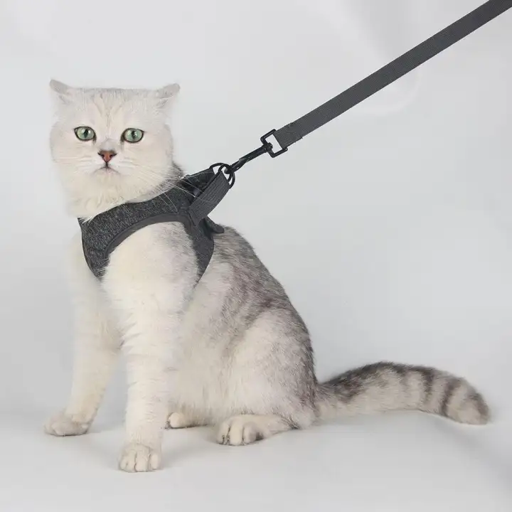 cat harness lazada