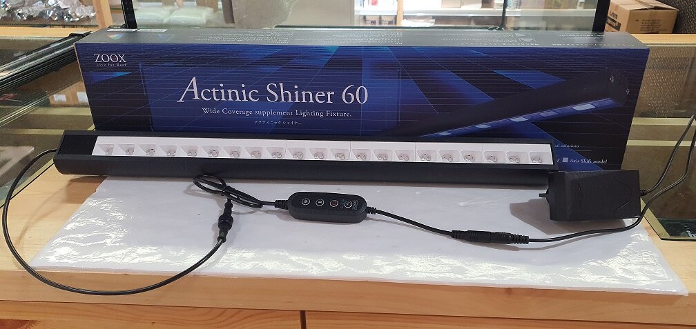 ZOOX Actinic Shiner 60 Axis sift 【公式通販】