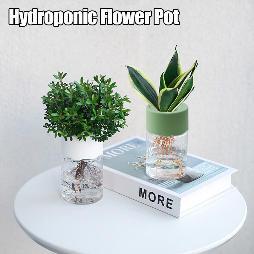 Transparent Hydroponic Flower Pot Water Planting Vase Container Plastic Tabletop Plants Bonsai Home Decoration