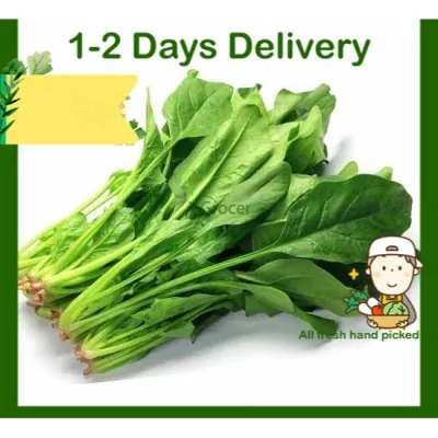 Poh Choy Spinach Fresh Vegetable 300g