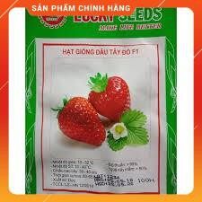 Hạt giống dâu tây lucky gói 100 hạt.