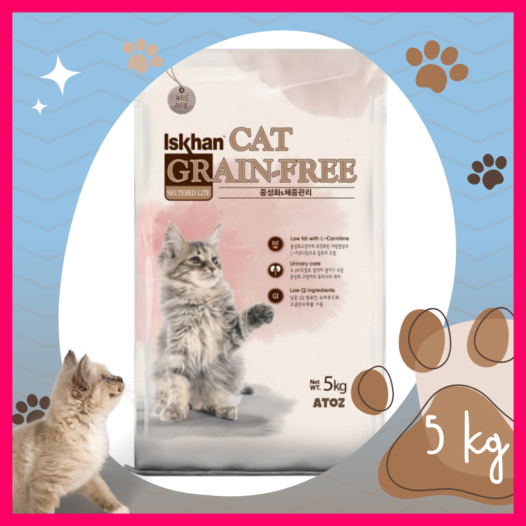 Iskhan cat grain free best sale