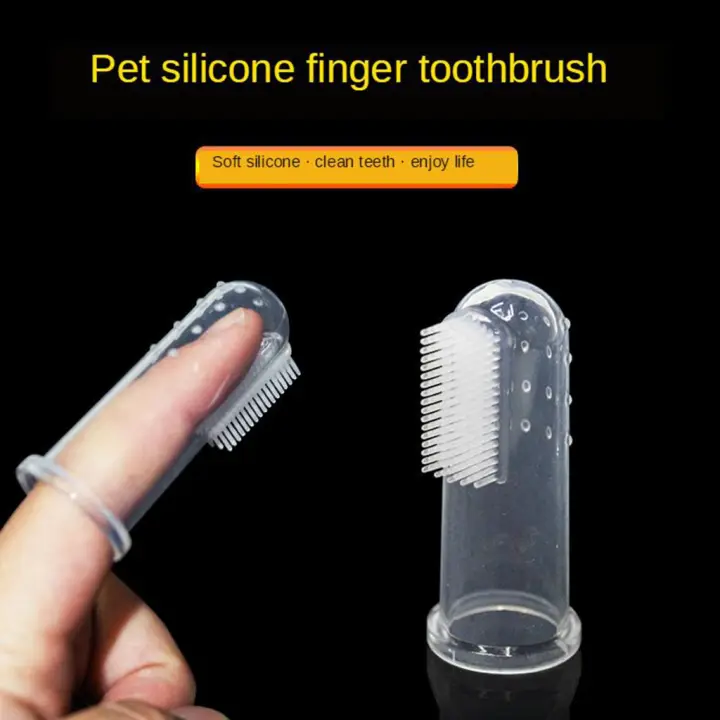 disposable dog toothbrushes