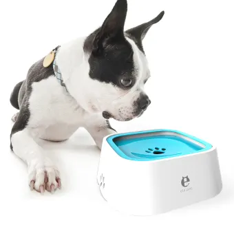 Dog water hot sale feeder lazada