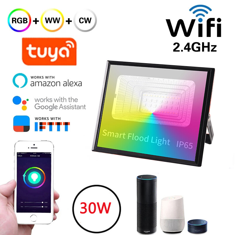 Smart Flood Light Home Decor RGB LED Tuya Wifi Smart Living 30W Outdoor Light Spotlight IP65 Waterproof Party Light