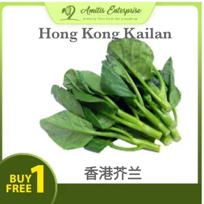 Buy 1 Free 1 300 seeds Kailan芥兰premium seeds sayur Kailan