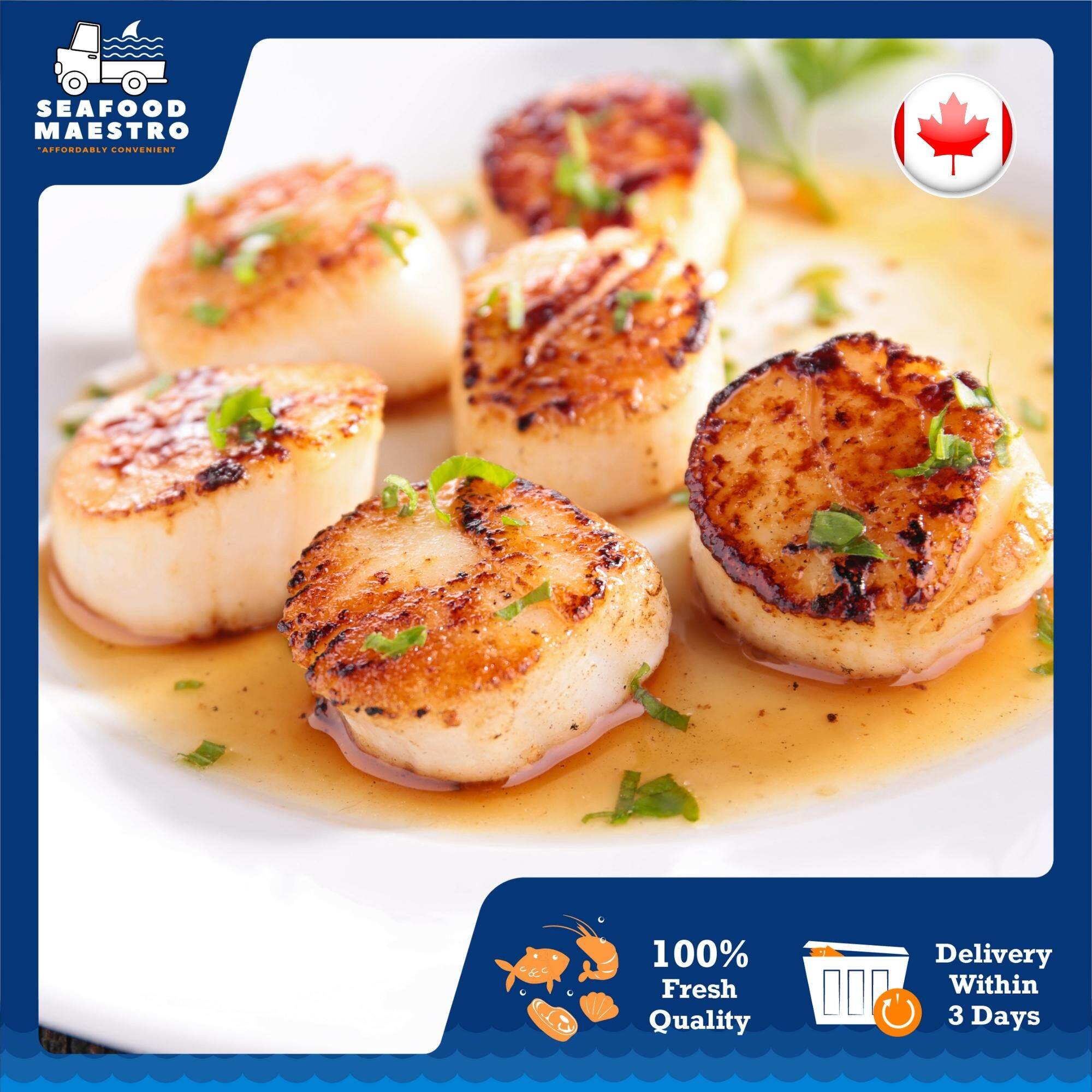 [Seafood Maestro] Premium Grade Canadian Scallop 10/20 / Seafood