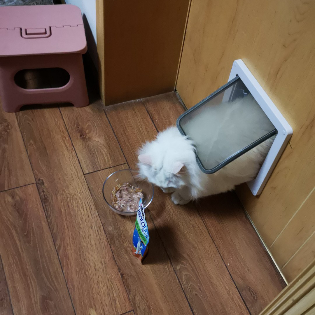 Lovinland Pet Cổng Cho Thú Cưng Chó & Mèo Cổng Điều Khiển Hướng Ra Vào Màu Ngẫu Nhiên (Kích Cỡ: XL/Màu Ngẫu Nhiên)
