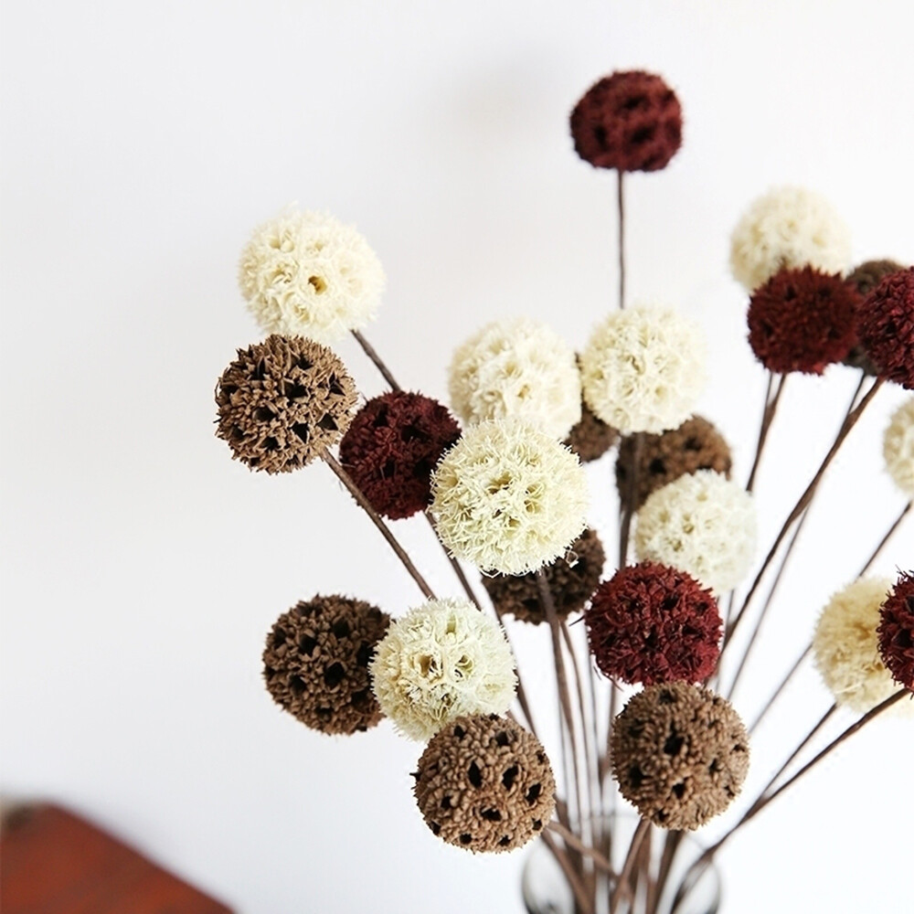 5Pcs Dried Flowers Bouquets Dried Flowers Natural Decorative Home Decoration DIY Crafting Accessories Dried Fruit Rustic Decor Wedding Decorations
