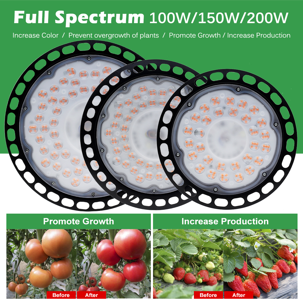 LED Grow Light Phyto Lamp AC 220V Full Spectrum Lamp for Plants 100W ...