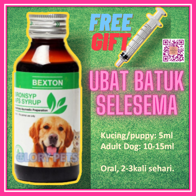 Beli ubat selsema kucing Pada Harga Terendah  Lazada.com.my