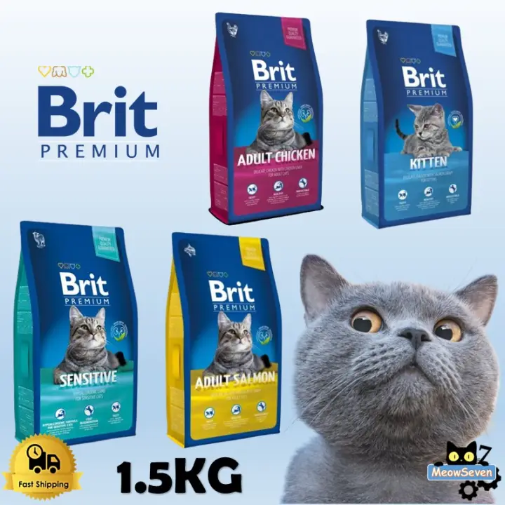 brit premium cat adult salmon
