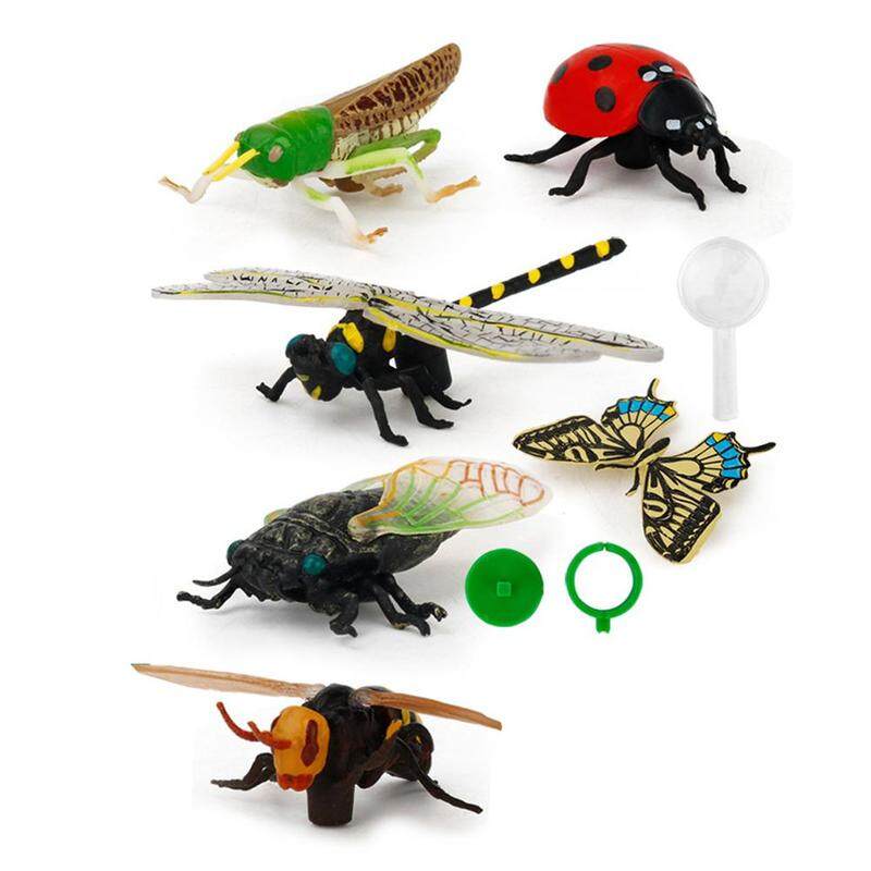 educational insect toys