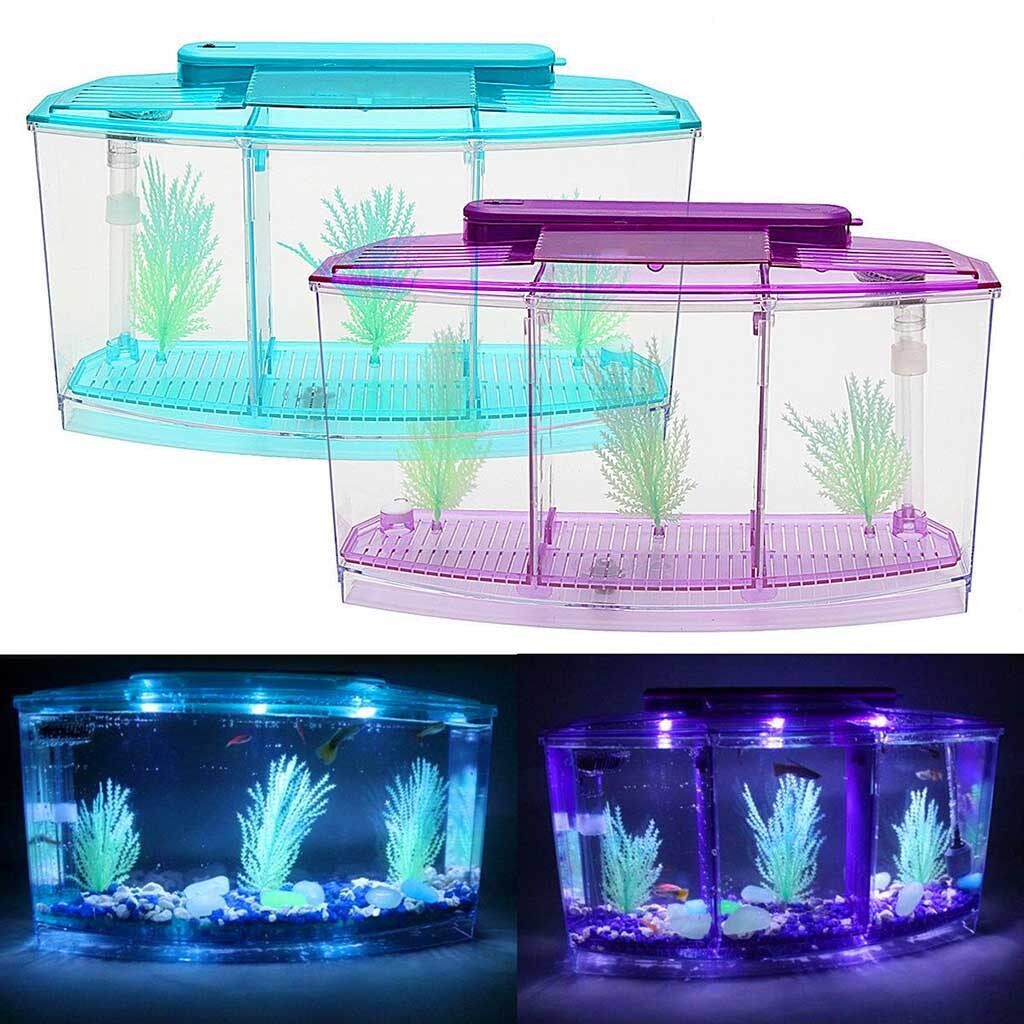 betta fish small tank