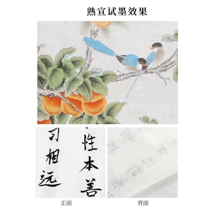 Saverstore Calligraphy Writing Paper [69cm x 138 cm] 宣纸国画书法 