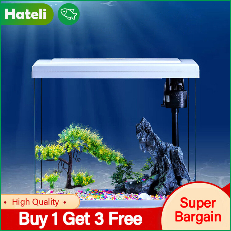 【HATELI】(Gift Water Pump, LED Light, Filter Tank / 24*18*28cm) Aquarium Bedroom Small Self-circulating Water-free Ecological Creative Desktop Glass Tank