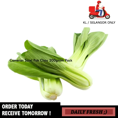 Fresh Siew Pak Choy 250gram Pack Fresh Vegetables