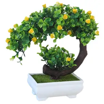78+ Gambar Bunga Bonsai Paling Bagus 78+ Gambar Bunga Bonsai Paling Bagus