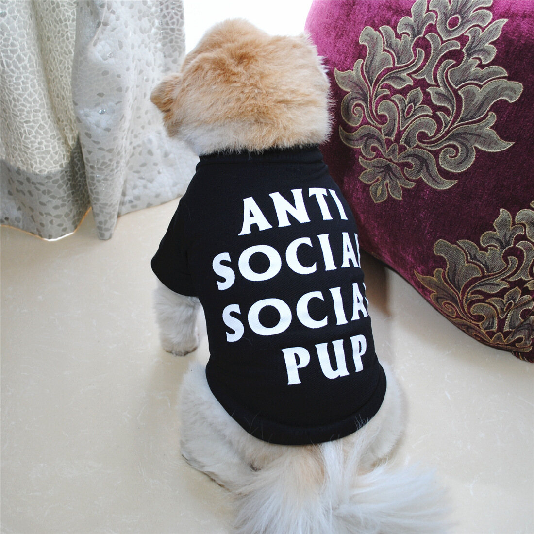 AuntieCindy Summer Breathable Dog Clothes Number ANTI SOCIAL SOCIAL PUP Printed Dog Shirt Cat Shirt