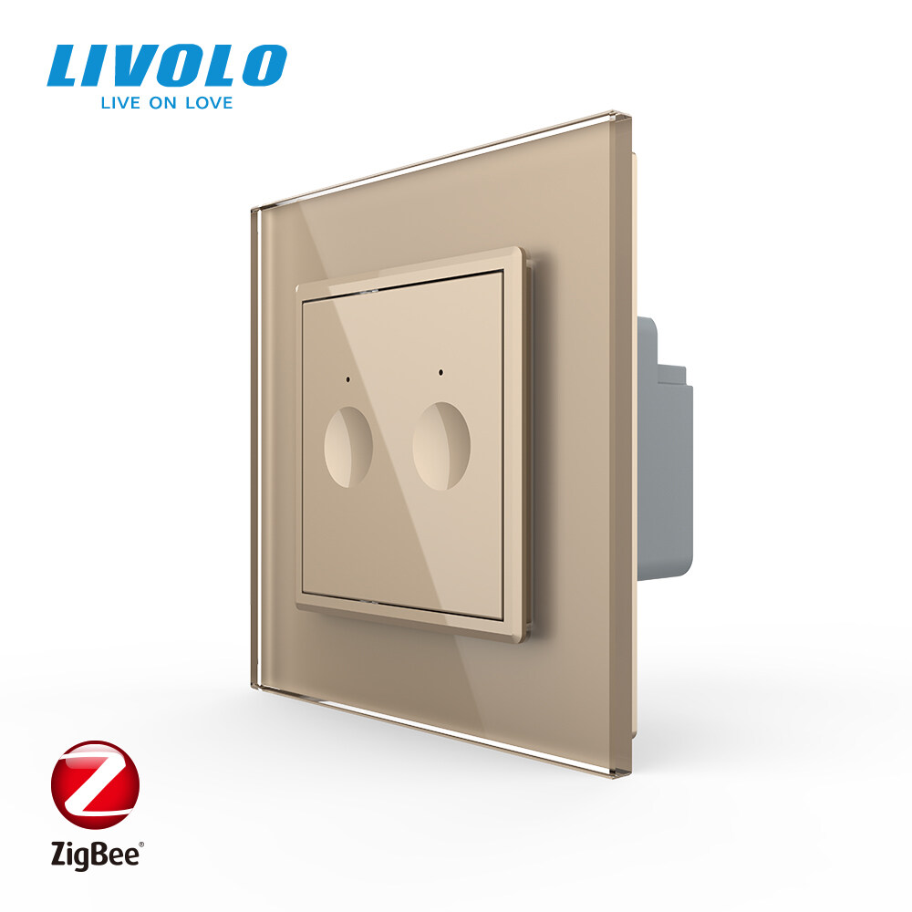 livolo switch google home