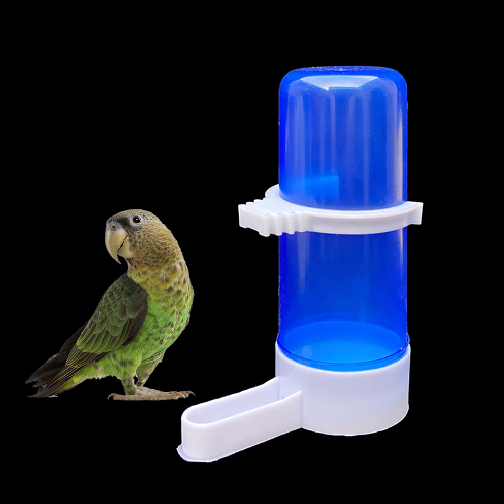 Pet Bird Automatic Drinker Feeder Blue Bird Feeder Bird Cage Accessories Parrot Feeding Tool Drinking Fountain Bird Supplies
