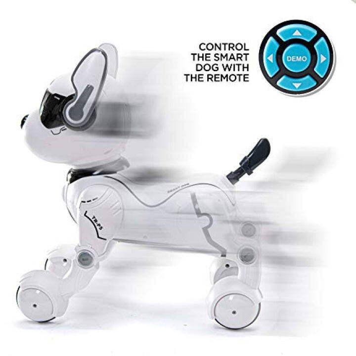 top race smart robot