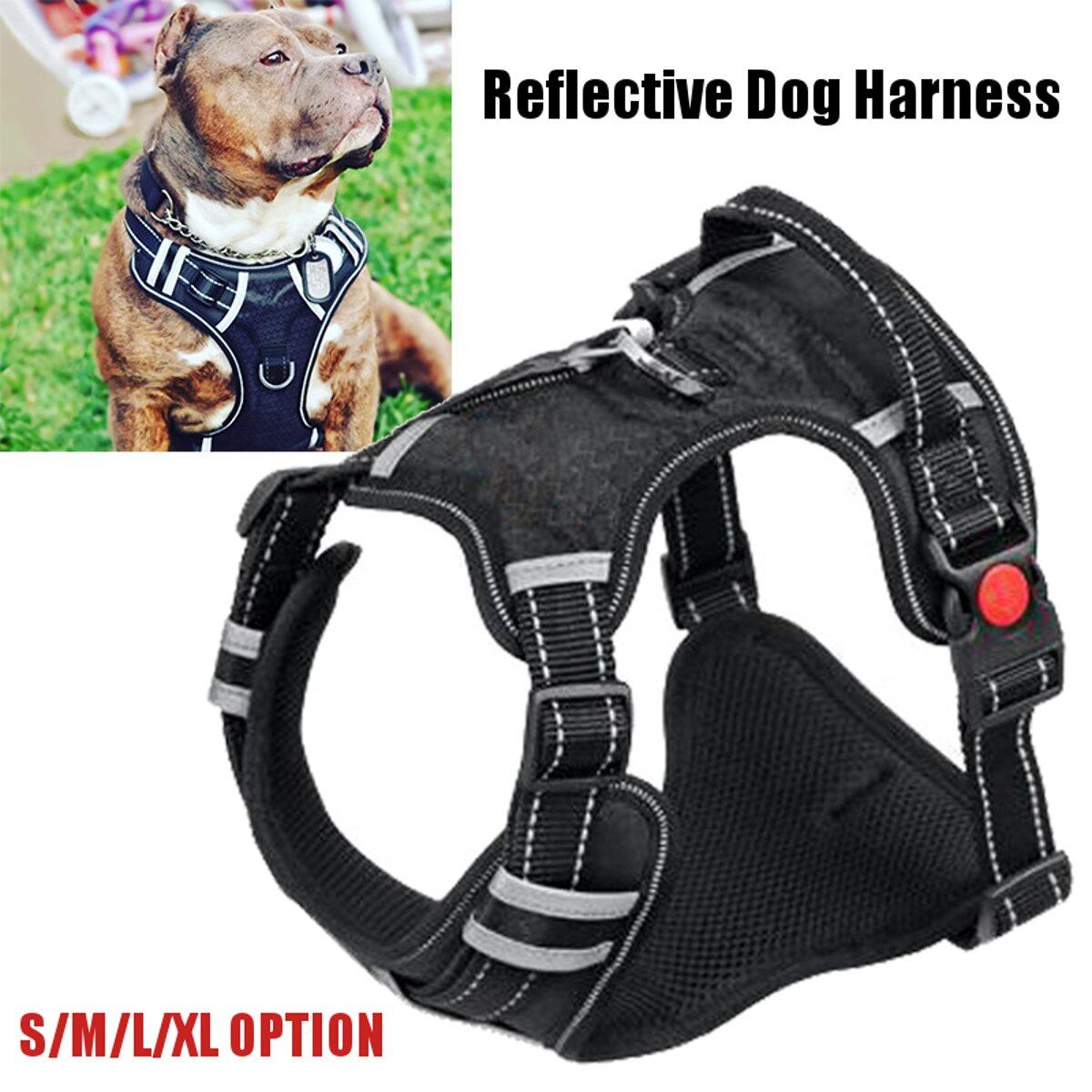 pet dog harness