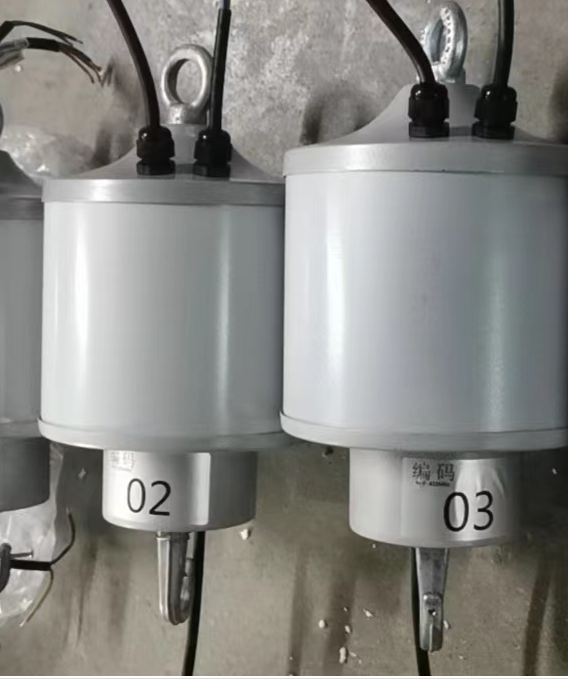 8 KG 15 M Lghting Hoist Electric Winch Lifting Light Lifter Remote