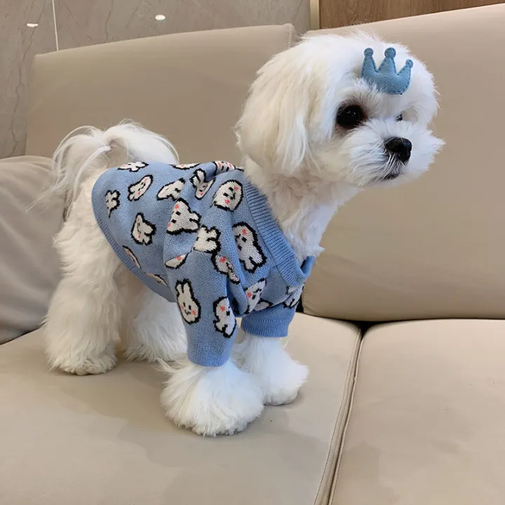 maltese sweater