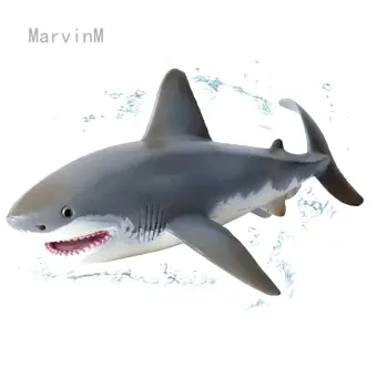 shark from ryan's world name