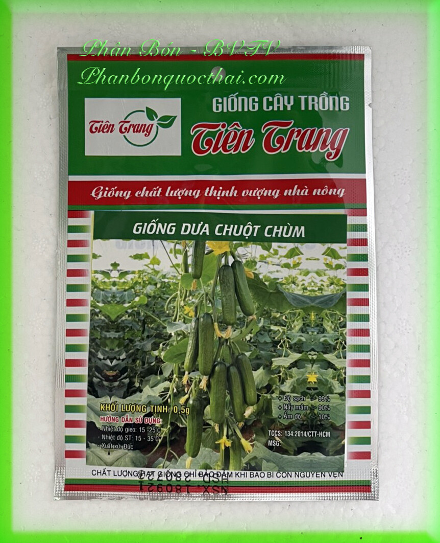 HẠT GIỐNG DƯA CHUỘT CHÙM SIÊU QUẢ (GÓI 0.5G)