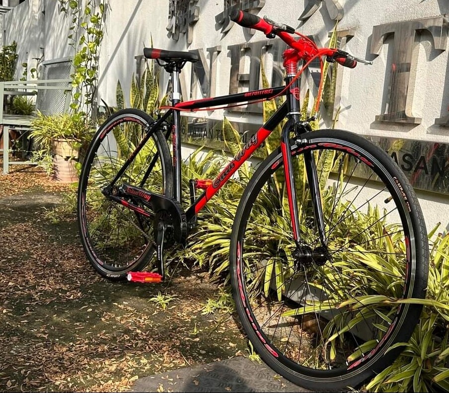 Gainway fixie on sale