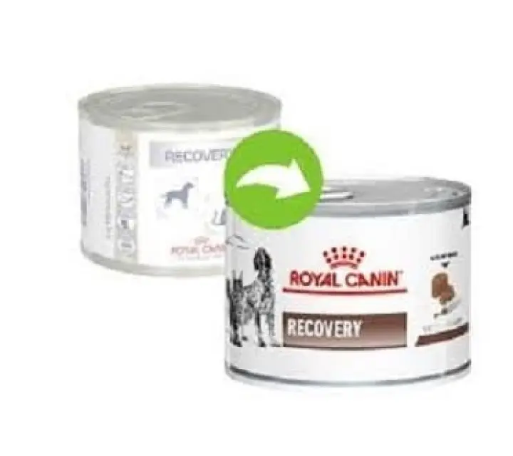 royal canin recovery can