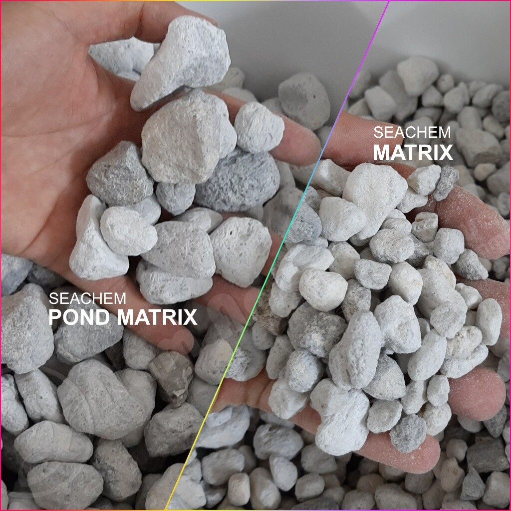 Seachem Matrix Pond 100ml - Vật Liệu Lọc Cao Cấp