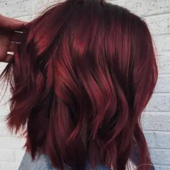 Burgundy Red Olive Korea Hair Colour Dye Cream Free Developer