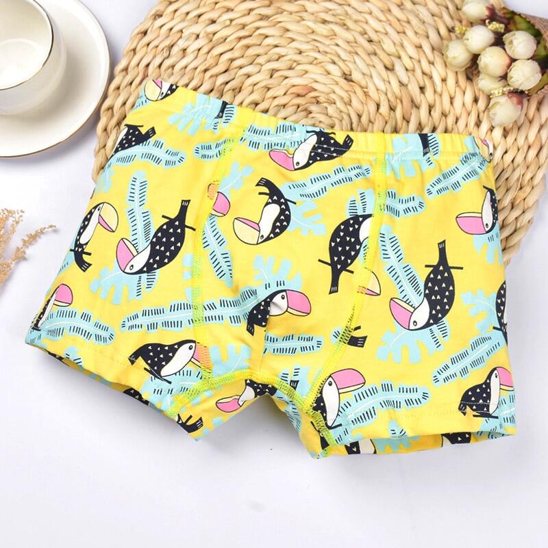 HH 5Pcs Baby Boys Underwear Cartoon Dinosaur Children's Shorts Panties ...