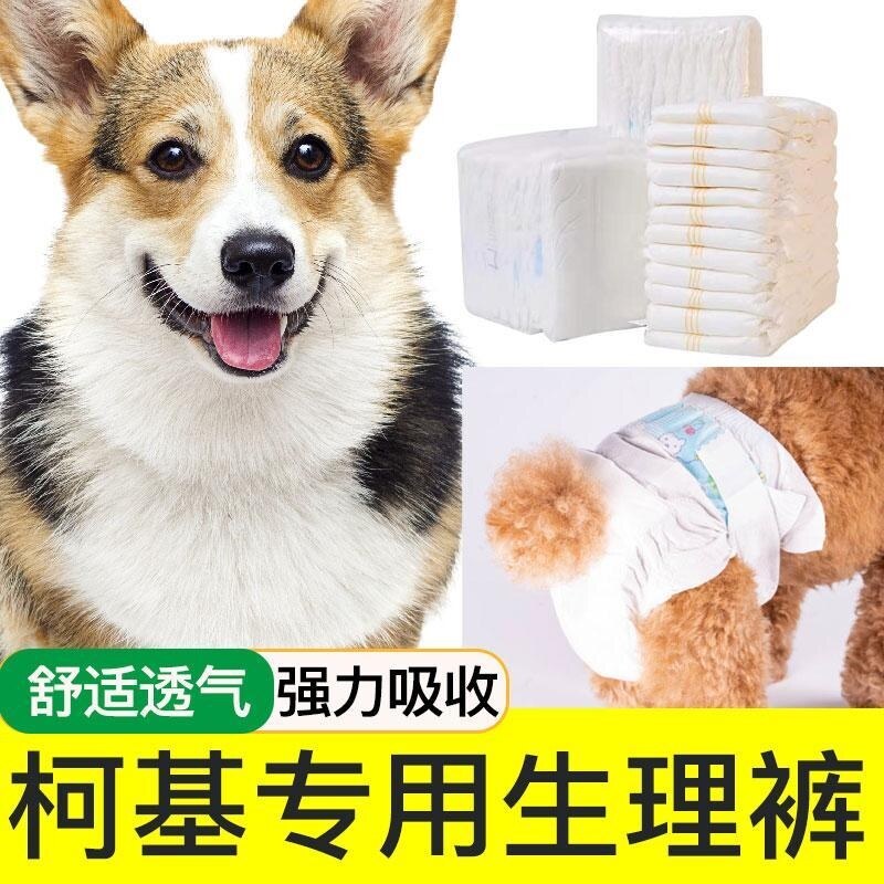 Corgi diapers 2024