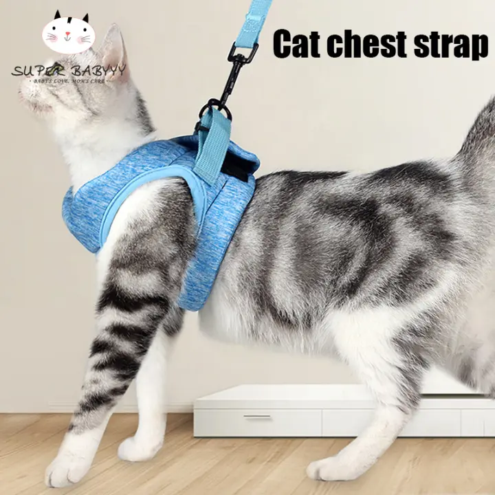 cat harness lazada