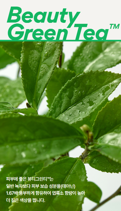 Innisfree Green Tea Balancing Skin EX