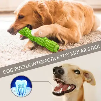 lazada dog toys